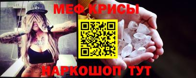 jwh Бийск