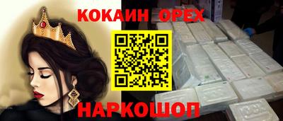 jwh Бийск