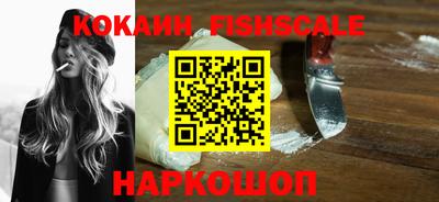 jwh Бийск
