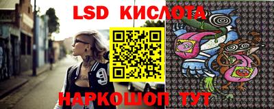 jwh Бийск