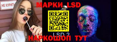 jwh Бийск
