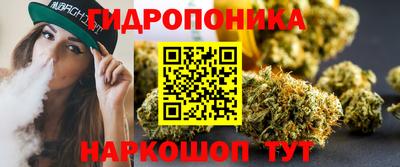 jwh Бийск