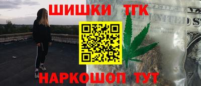 jwh Бийск