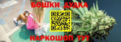 jwh Бийск