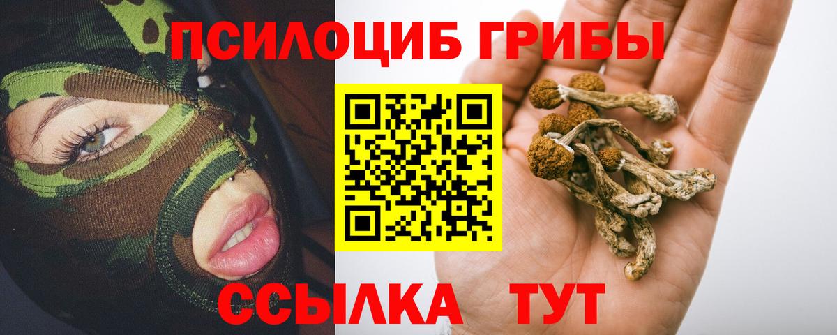 Грязи  как найти закладки  Вход с VPN  Галлюциногенные грибы мицелий 
